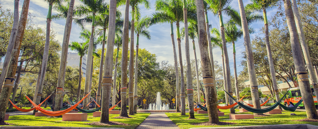 Campus Hammocks 